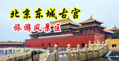 大鸡巴操小骚逼白虎视频中国北京-东城古宫旅游风景区